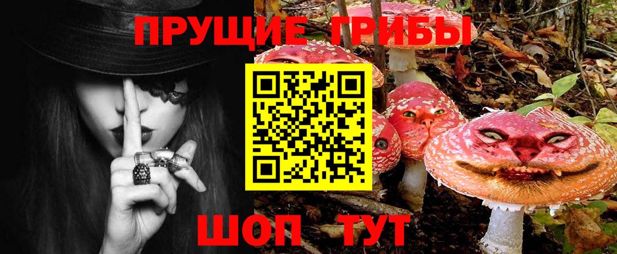 Псилоцибиновые грибы мухоморы Новодвинск